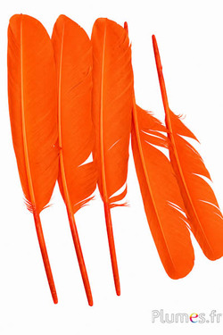 Cygne - 30-33 cm - orange